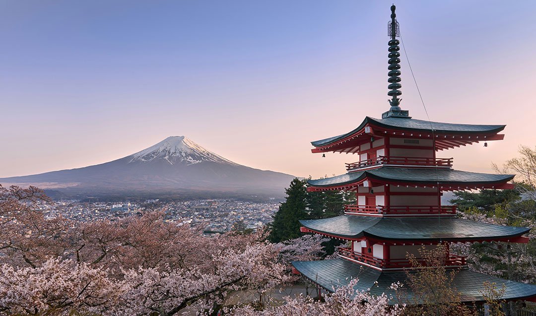Scenic view representing Japan Tour Packages with cherry blossoms and traditional architecture