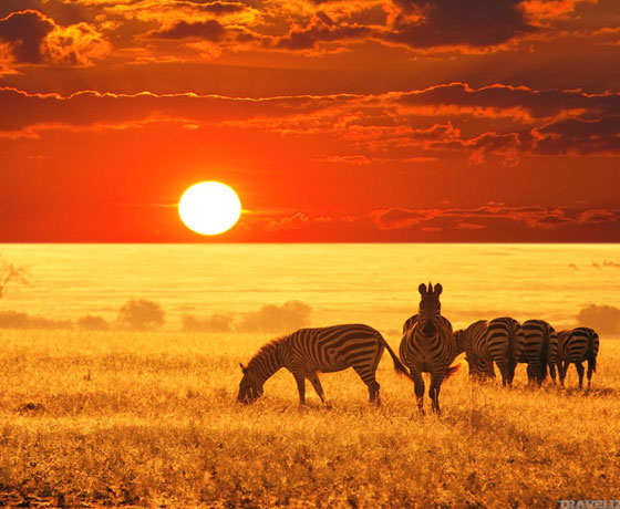 africa tour packages from mumbai